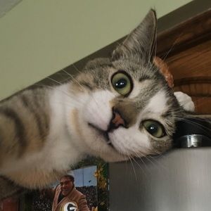 Meet your Posher, Deb